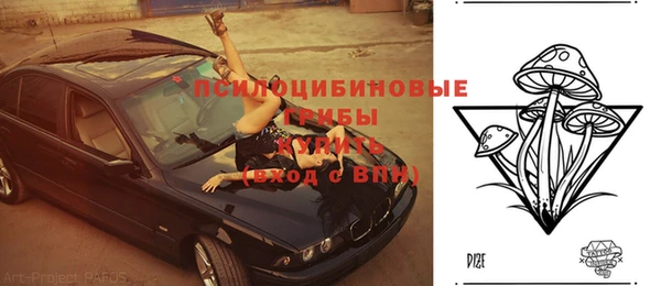 соль ск Аркадак