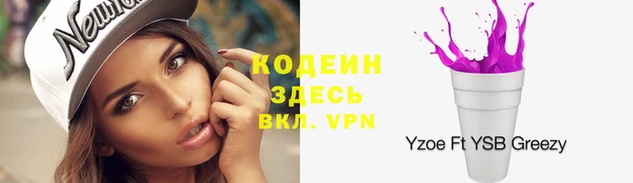 индика Армянск