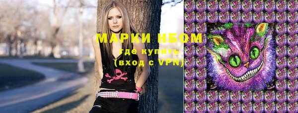 индика Армянск