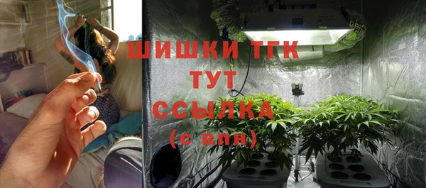 соль ск Аркадак