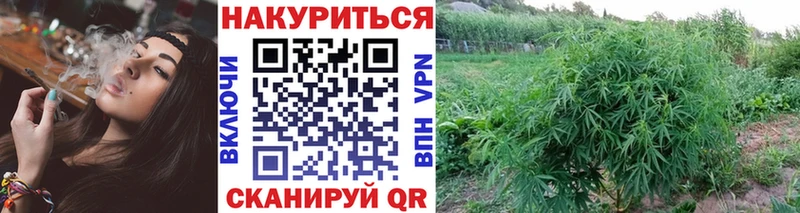 Купить где  Славянск-на-Кубани  Марихуана THC 21% 